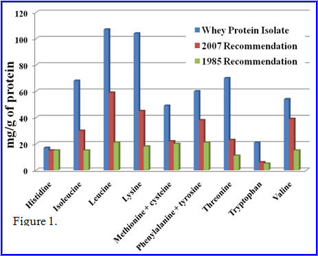 Chart showing WHO protein levels in WPI